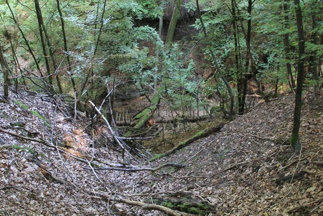 Wildnis pur | Foto: Ralf Röser