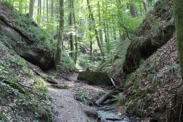 da rauf | Foto: Ralf Röser