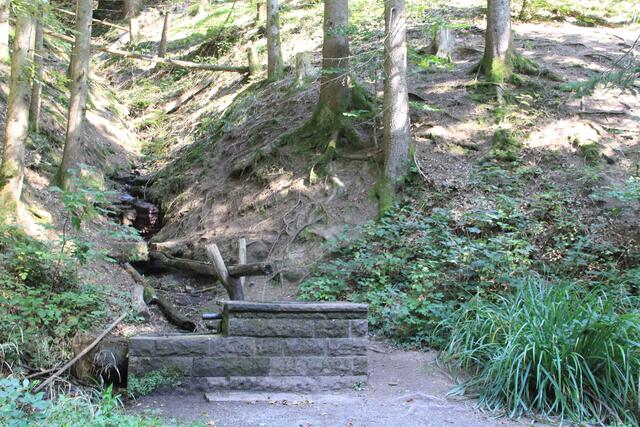 Erfrischung | Foto: Ralf Röser