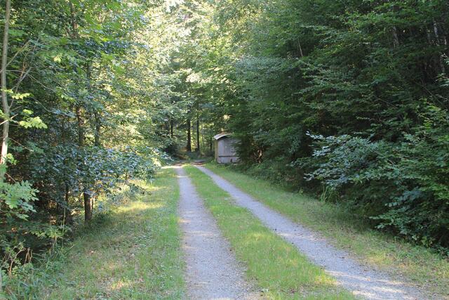 und weiter | Foto: Ralf Röser