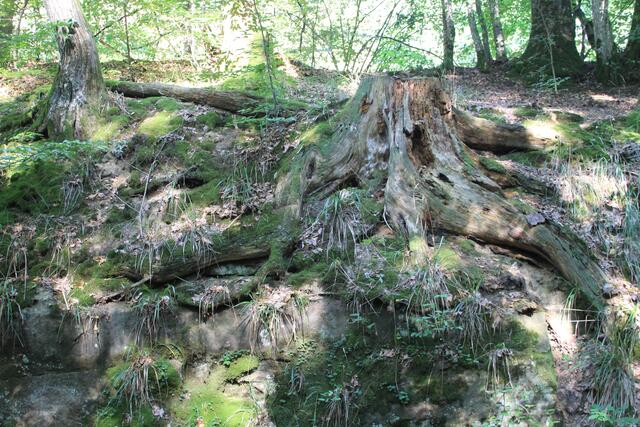 wow | Foto: Ralf Röser