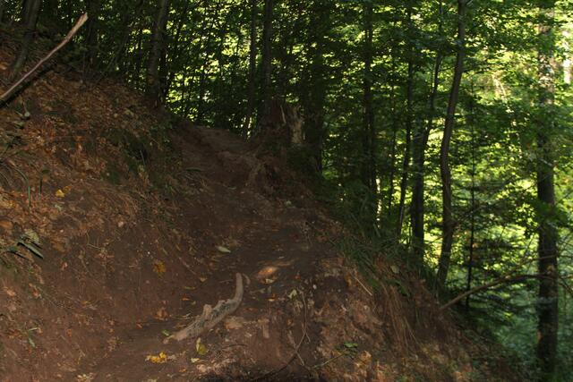 da weiter | Foto: Ralf Röser