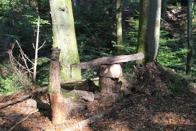 Bastler | Foto: Ralf Röser