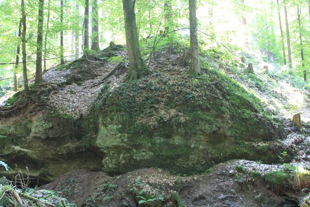 einfach herrlich | Foto: Ralf Röser