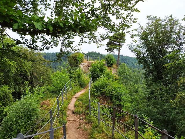 Dort vorn könnte man wunderbar rasten und die Aussicht genießen | Foto: Sigrid Schlottke