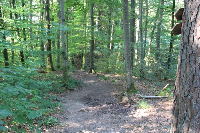 da lang | Foto: Ralf Röser