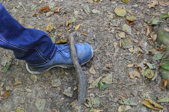 uffbasse | Foto: Ralf Röser