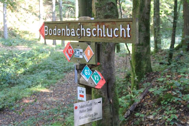 weiter zur Tobelschlucht | Foto: Ralf Röser