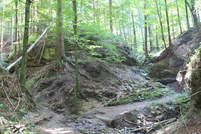 und weiter | Foto: Ralf Röser