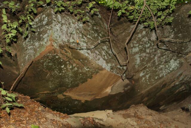 wow | Foto: Ralf Röser