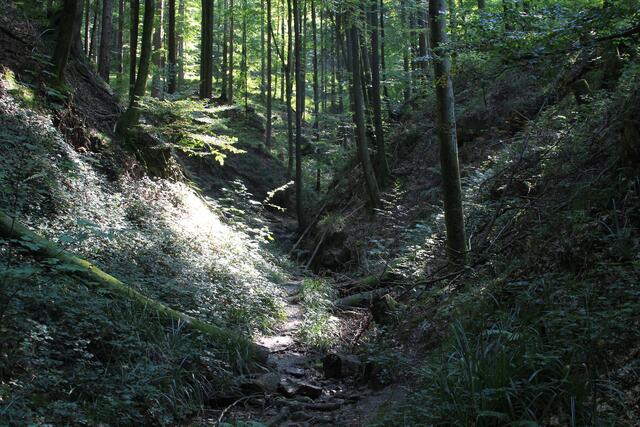 herrlich | Foto: Ralf Röser