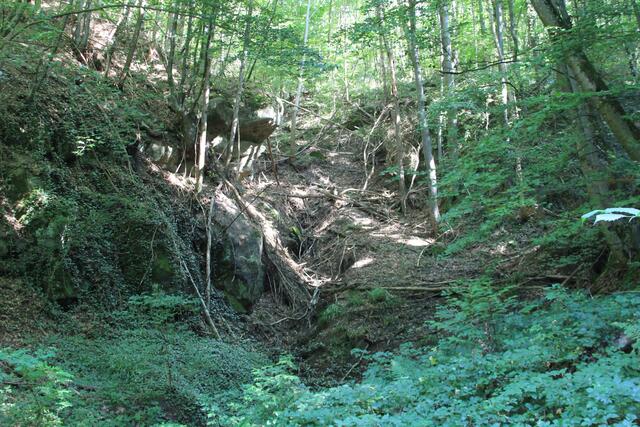 toll | Foto: Ralf Röser