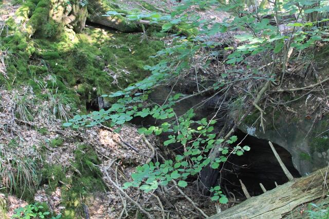 schee | Foto: Ralf Röser