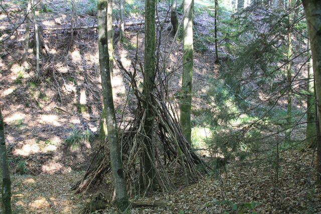 schee | Foto: Ralf Röser