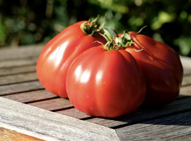 Ochsenherz-Tomaten | Foto: ED