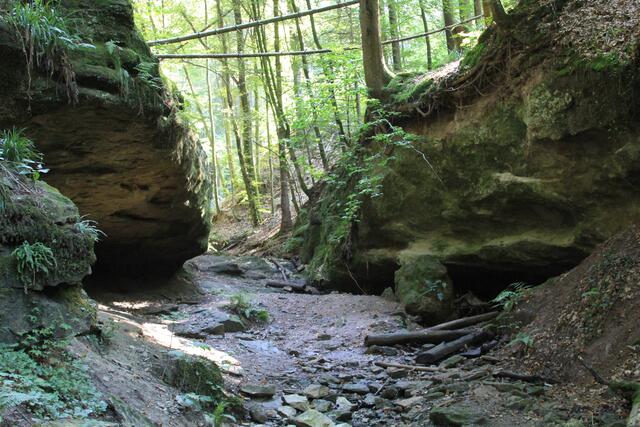und weiter | Foto: Ralf Röser