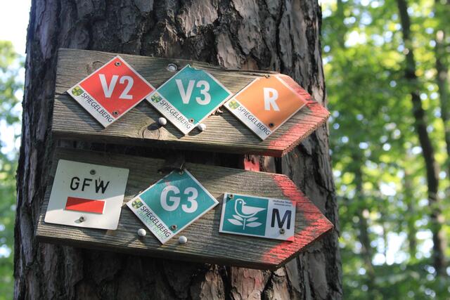 ??? | Foto: Ralf Röser