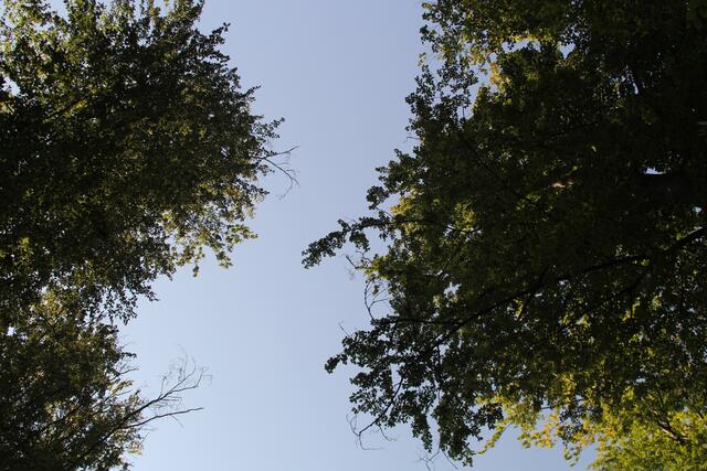 oben 🌞😍🌲 | Foto: Ralf Röser