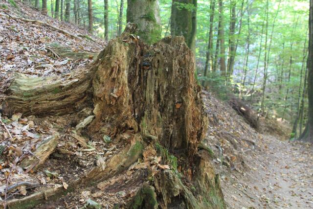 cool | Foto: Ralf Röser