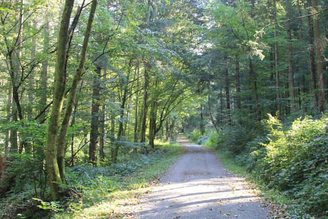 da lang | Foto: Ralf Röser