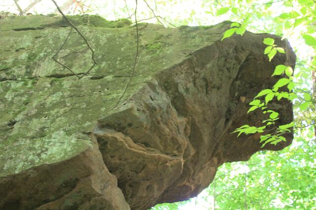 cool | Foto: Ralf Röser