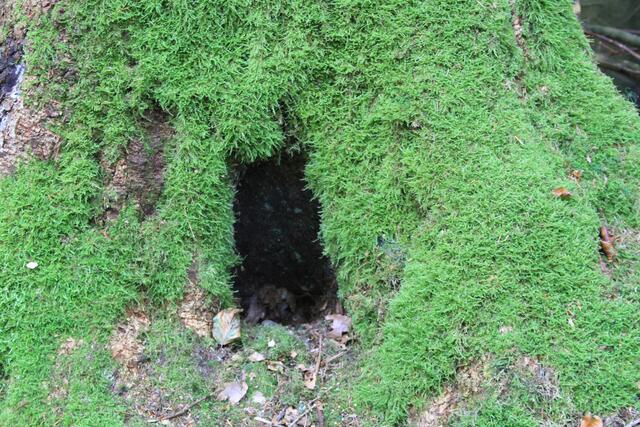 cool | Foto: Ralf Röser