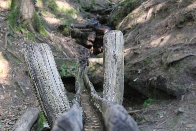 cool | Foto: Ralf Röser