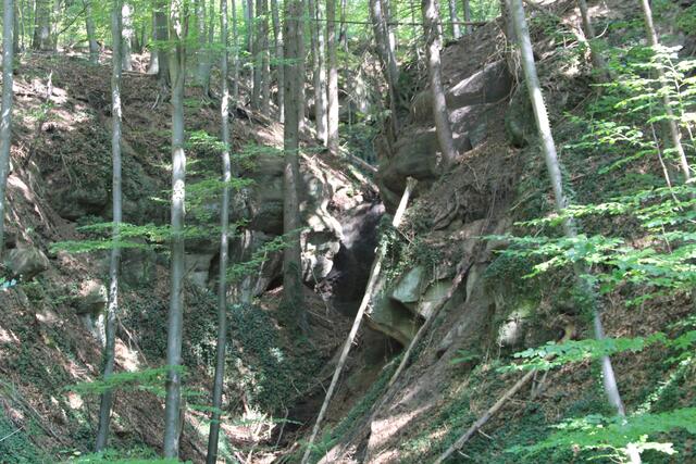 herrlich | Foto: Ralf Röser