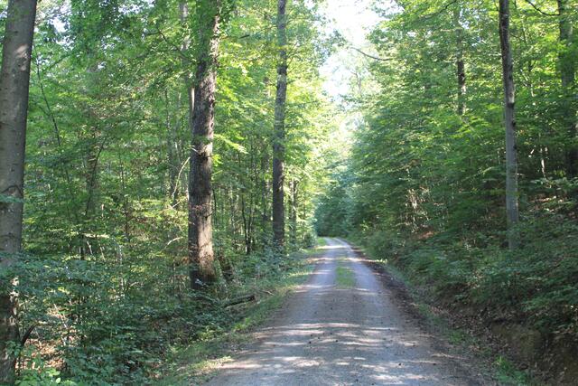 da weiter | Foto: Ralf Röser