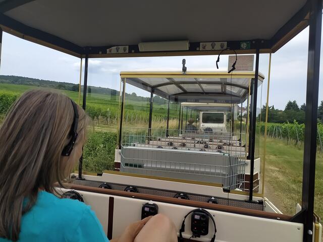 Endlich sitzen wir im Bähnle und lassen uns nach Wissembourg fahren. Über Kopfhörer bekommen wir viele Informationen über die Gegend, die Geschichte Wissembourgs und ihrer Sehenswürdigkeiten | Foto: Sigrid Schlottke