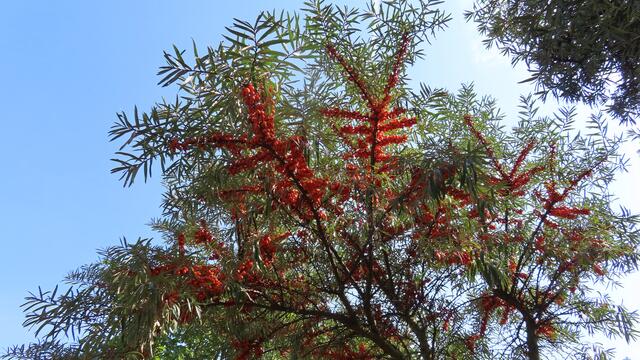 Foto: Foto privat Sibylle Tröber
