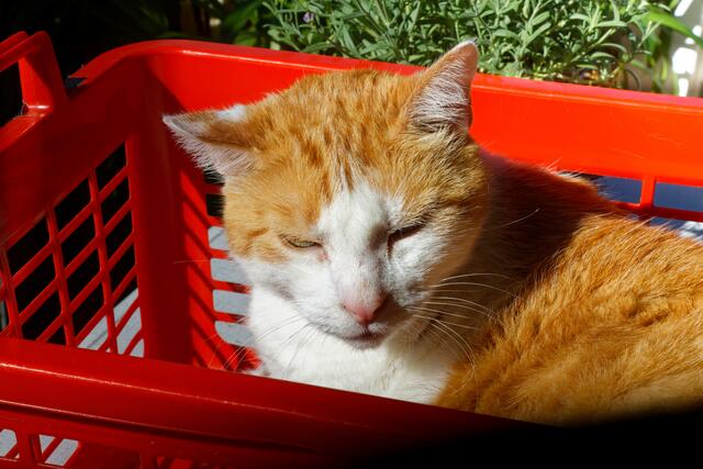 Foto: eigene Aufnahme