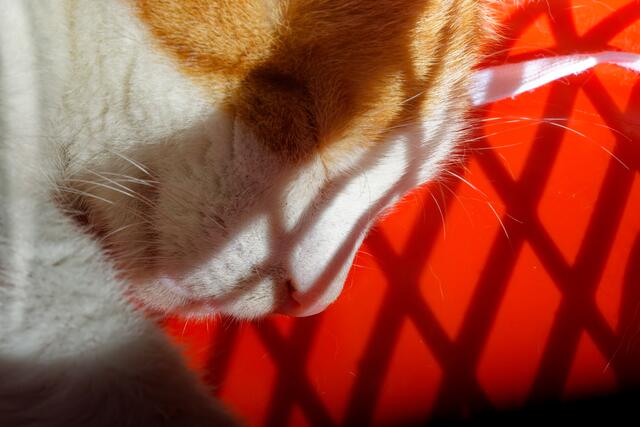 Foto: eigene Aufnahme