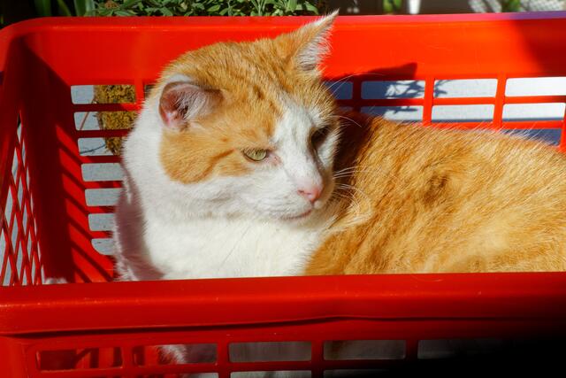 Foto: eigene Aufnahme