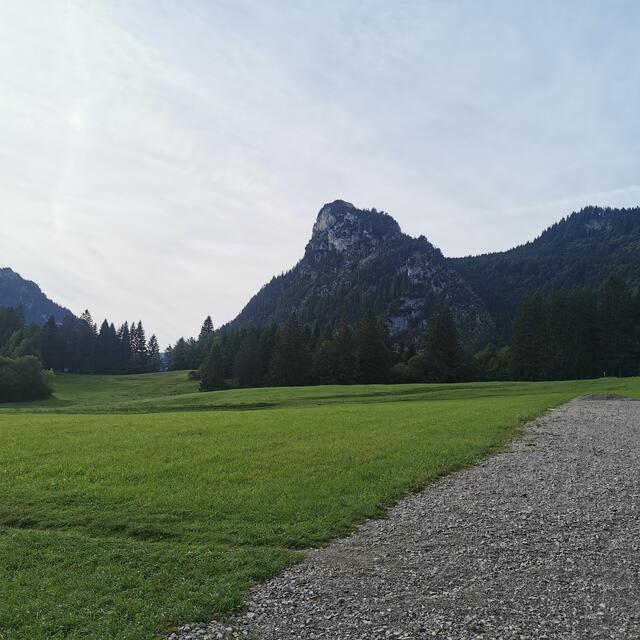 Foto: Jochen Betz