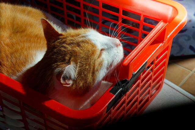 Foto: eigene Aufnahme