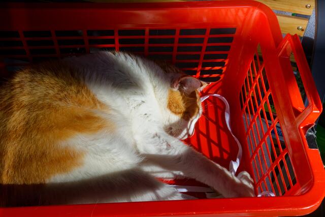 Foto: eigene Aufnahme