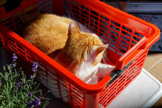 Foto: eigene Aufnahme