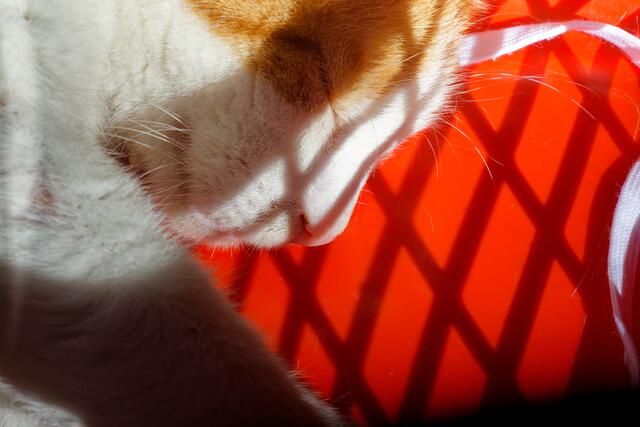 Foto: eigene Aufnahme