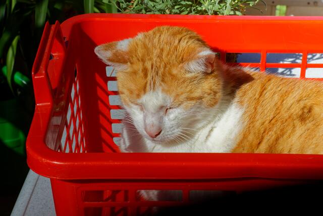 Foto: eigene Aufnahme