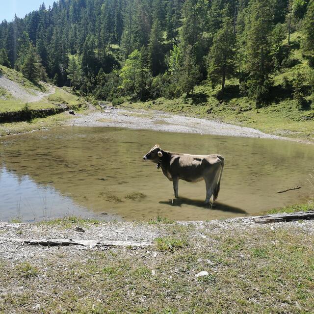 Foto: Jochen Betz