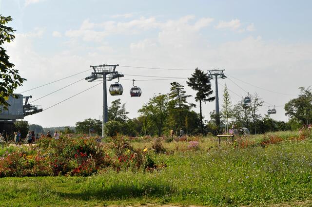 Lange sind wir nicht im Spinelli-Park geblieben. Dann gings mit der Seilbahn zum Luisenpark. | Foto: Daniela Somers