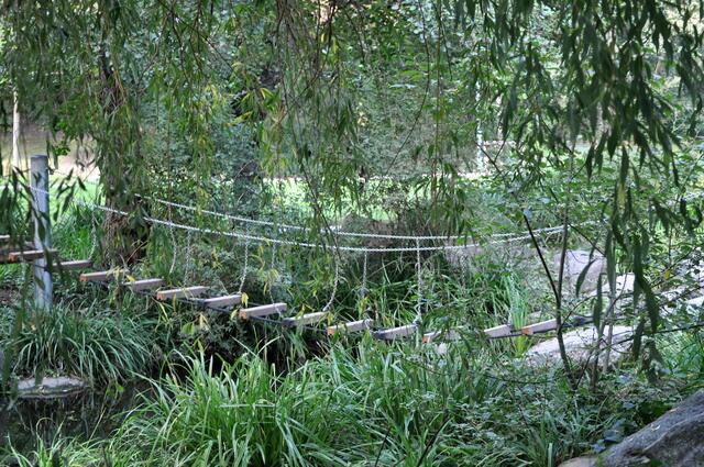 Natürlich muss auch ich da rüber. Trocken gings dann weiter zu den Alpakas | Foto: Daniela Somers