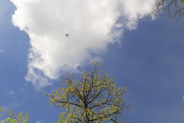 🌳🌞OBEN🌳🌞 | Foto: Ralf Röser