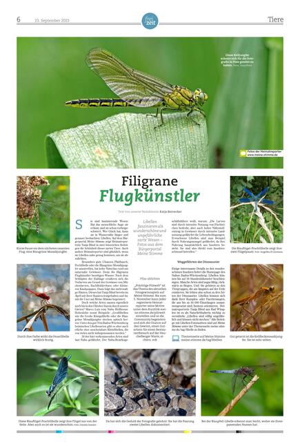 Eine Augenweide sind die Heimatreporter-Libellenmotive auf dieser Tierseite, die am Samstag, 23. September, im Magazin der Zeitung zu finden ist.  | Foto: HSt; Tanja Blind, Angelika Di Girolamo, Daniela Somers