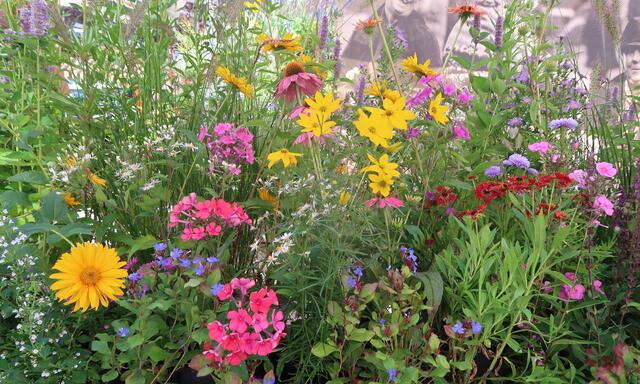 Foto: Urheber aller Bilder Anton Bauer