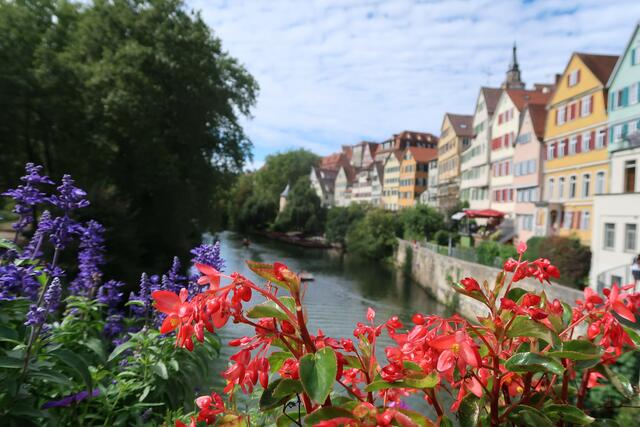 Foto: Urheber aller Bilder Anton Bauer