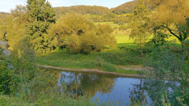 🌞🌲😍🌳🌞 | Foto: Ralf Röser