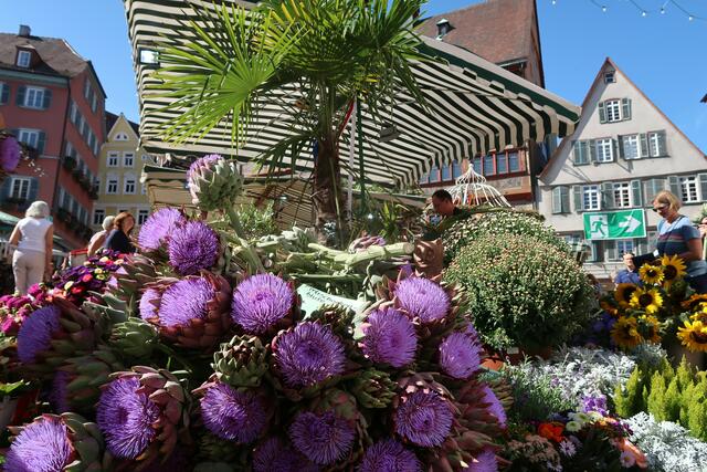 Foto: Urheber aller Bilder Anton Bauer