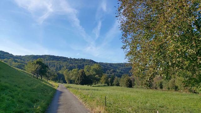 🌞🌲😍🌳🌞 | Foto: Ralf Röser